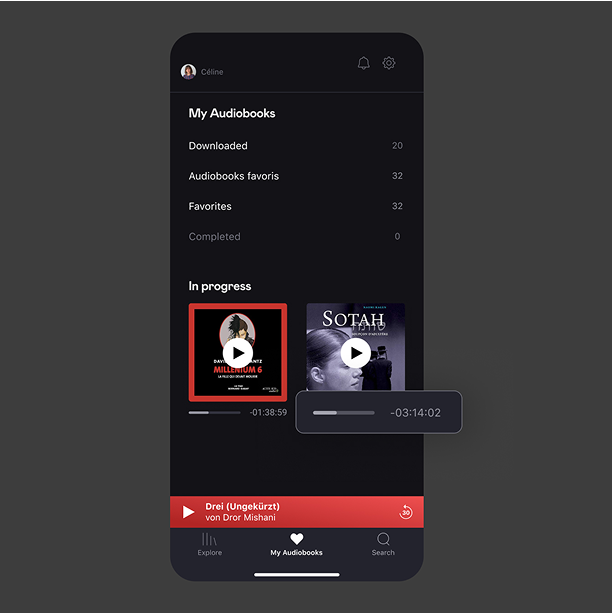 Feature 4